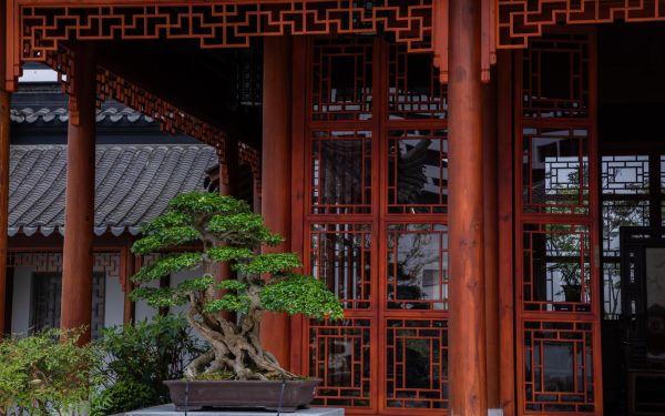 K54A4513.jpg K54A4513.jpg