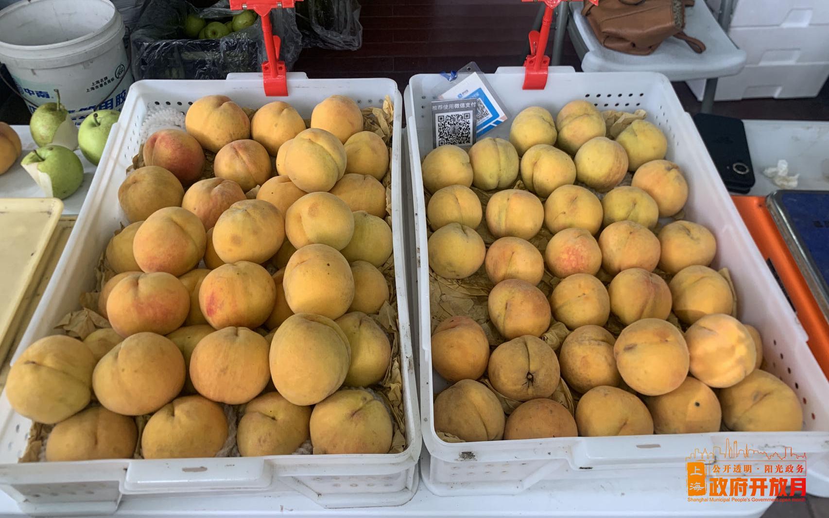 为民办实事—2023年夏季果品进公园活动圆满落幕2.jpg 为民办实事—2023年夏季果品进公园活动圆满落幕2.jpg