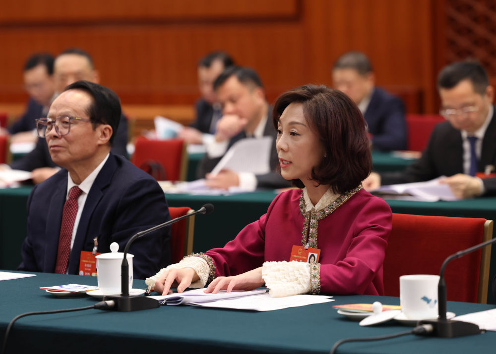 2025年3月5日,全国人大代表王麒在四川代表团全体会议上发言。新华社记者 刘卫兵 摄.jpeg 2025年3月5日,全国人大代表王麒在四川代表团全体会议上发言。新华社记者 刘卫兵 摄.jpeg