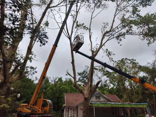 微信图片_20240925102642.png 微信图片_20240925102642.png