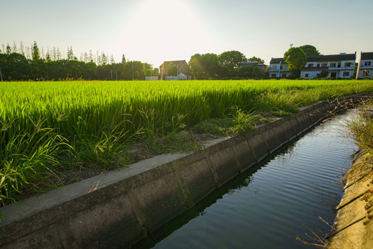 随着镜头中的涟漪,在水韵流转中感受青浦水美乡村 随着镜头中的涟漪,在水韵流转中感受青浦水美乡村