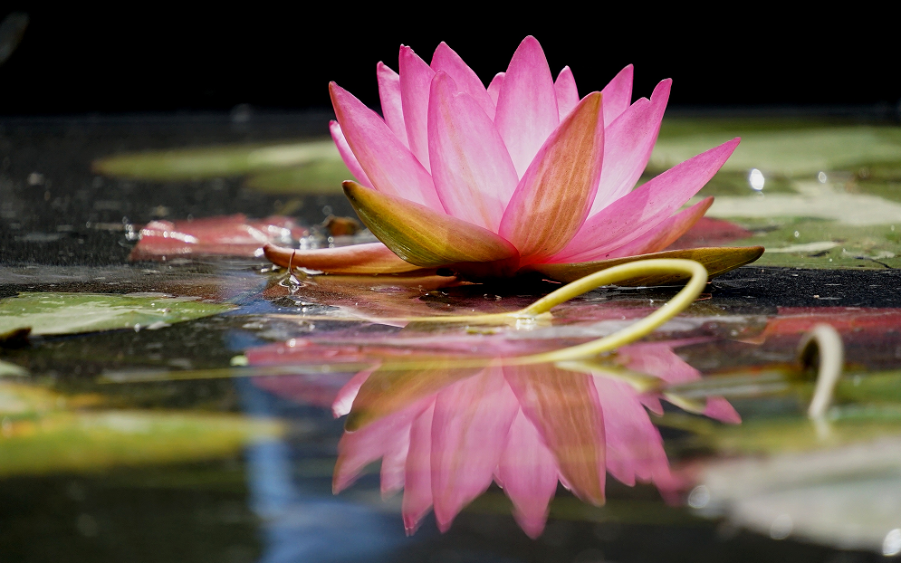 微信图片_20240703134636.png 微信图片_20240703134636.png