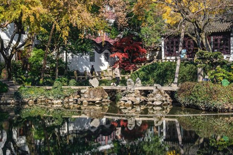 冬日“沪”水游，青浦新城：冬境绮梦，水韵流长