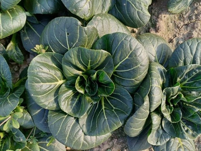 0905_090750_990.jpg 微信图片_20250905090654.png