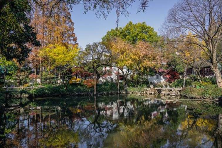冬日“沪”水游，青浦新城：冬境绮梦，水韵流长