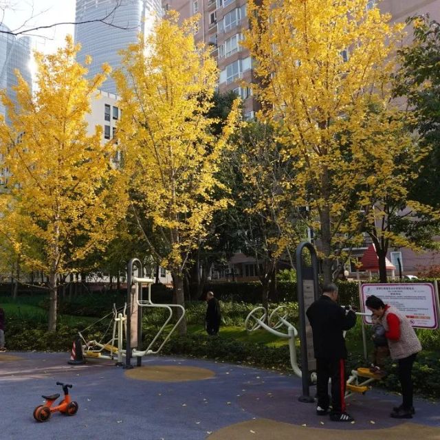 0812_141509_745.jpg 640 (10).jpg