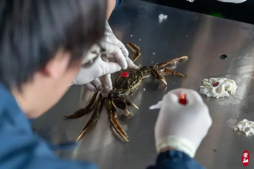 今天1659.png 今天1659.png