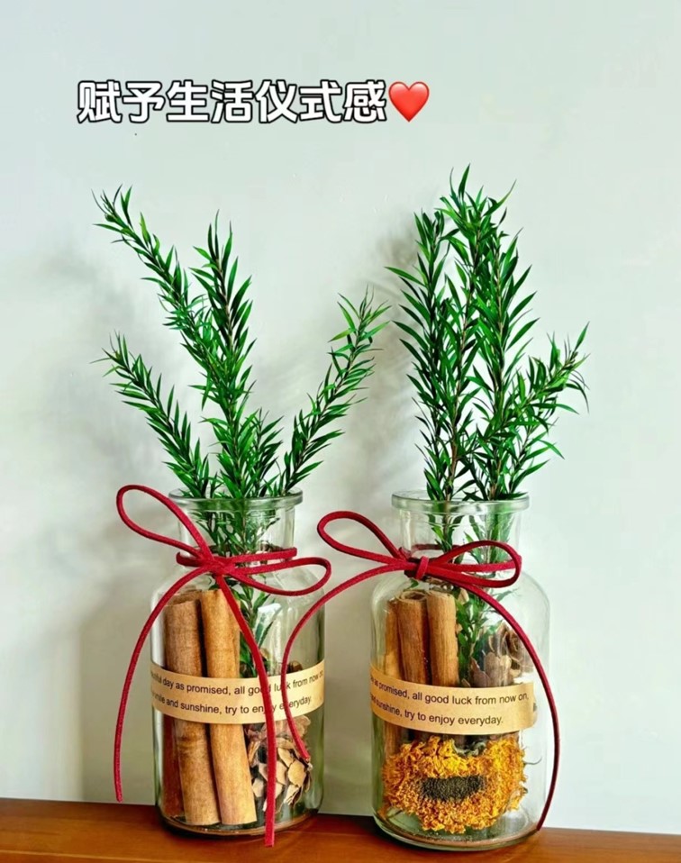 青浦区妇联活动预告：冬日暖阳，温馨活动招募，点亮你的冬天！