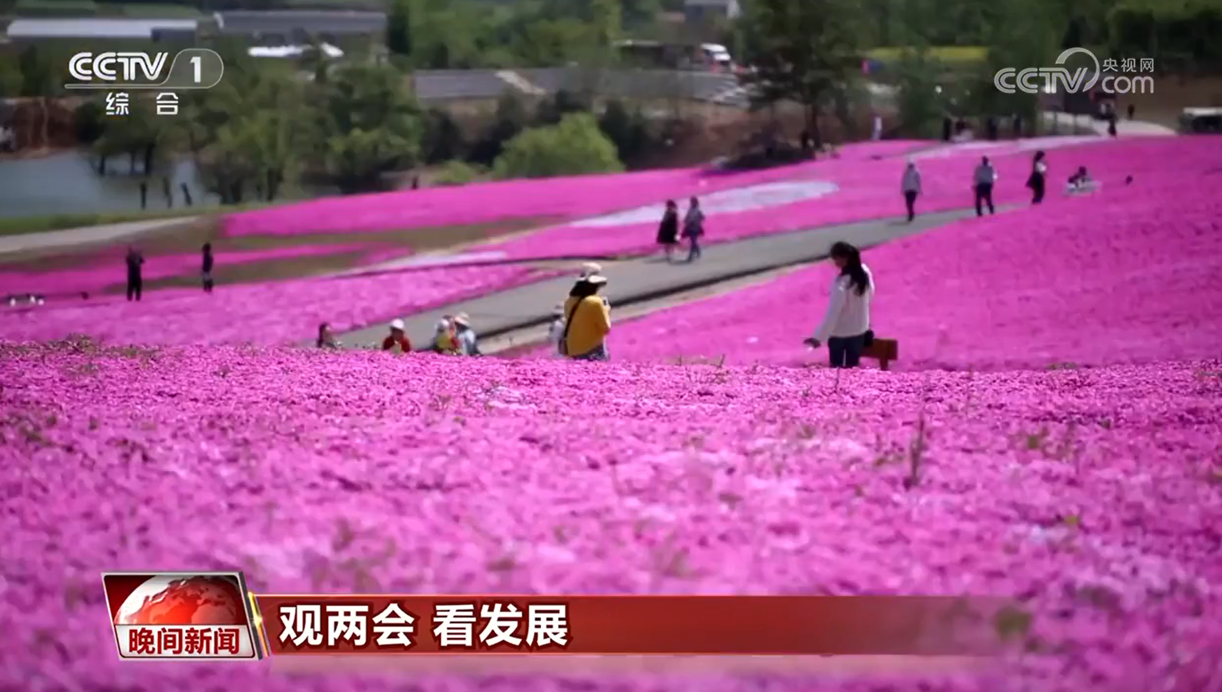 2025030323233135945.jpg 2025030323233135945.jpg