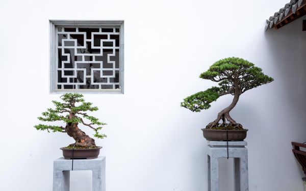 K54A4604.jpg K54A4604.jpg