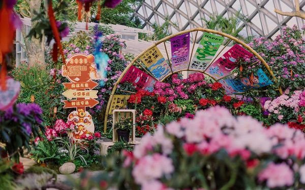 花映卷轴 (3).jpg 花映卷轴 (3).jpg