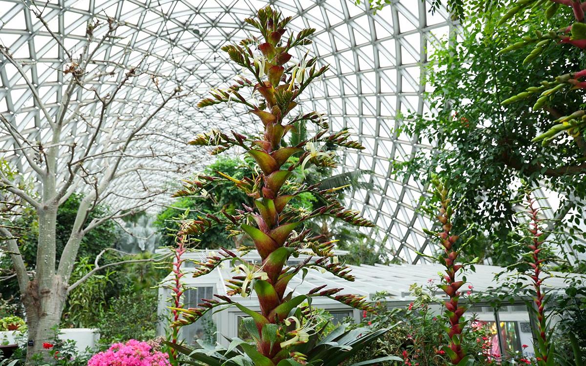 王的盛宴 3.jpg 王的盛宴 3.jpg