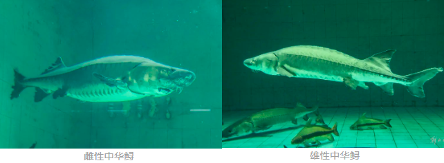 屏幕捕获_2024_10_10_09_25_14_912.png 屏幕捕获_2024_10_10_09_25_14_912.png