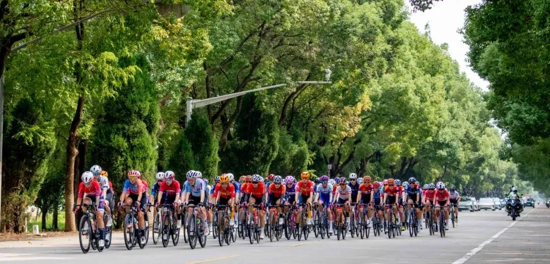 20240923090733052920.jpg 20240923090733052920.jpg