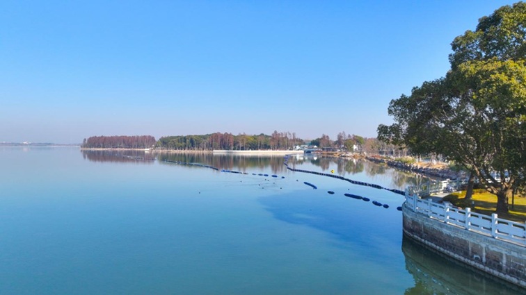 来青浦,骑行在青西“大河大湖”,太酷了! 来青浦,骑行在青西“大河大湖”,太酷了!