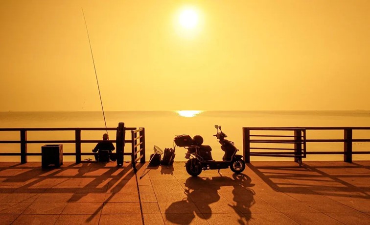 秋水伊人,来青浦,乘坐公共交通邂逅初秋水岸的一缕风凉! 秋水伊人,来青浦,乘坐公共交通邂逅初秋水岸的一缕风凉!