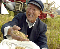 本市去年农民财产收益增33.8% 可支配收入增
一成