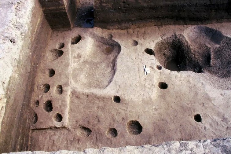 会·聚青浦|来青浦捕捉秋色,观看一场五彩缤纷的秋天童话剧! 会·聚青浦|来青浦捕捉秋色,观看一场五彩缤纷的秋天童话剧!