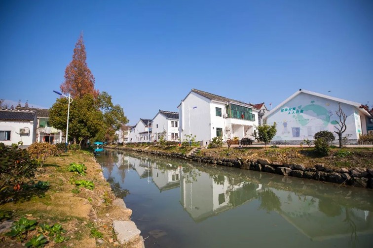 江南春景水一半，12处小流域绘青浦生态美域