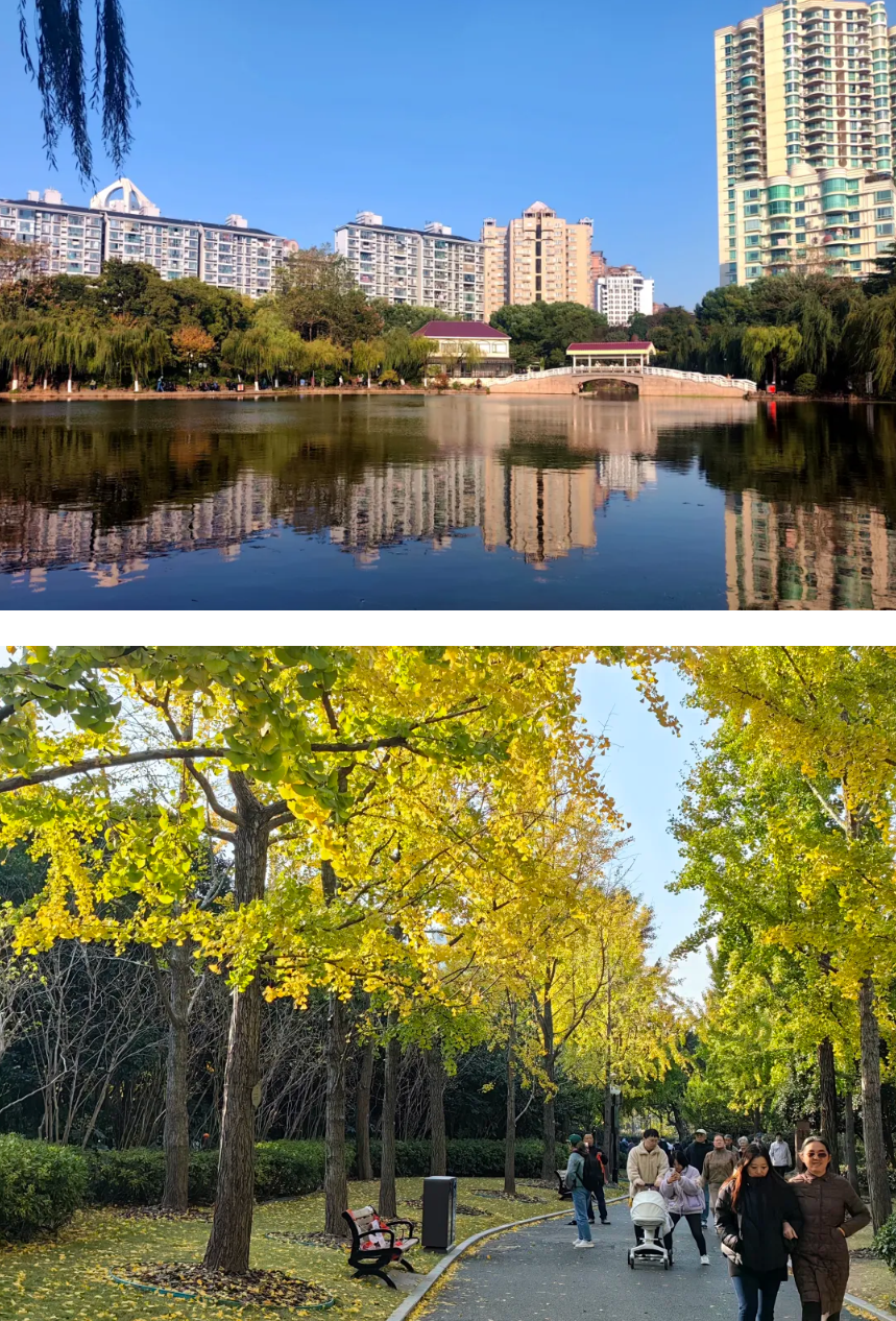 曲阳公园.png 曲阳公园.png