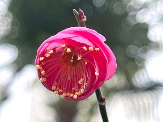 0227_102943_314.jpg 微信图片_2025-02-27_102928_302.jpg