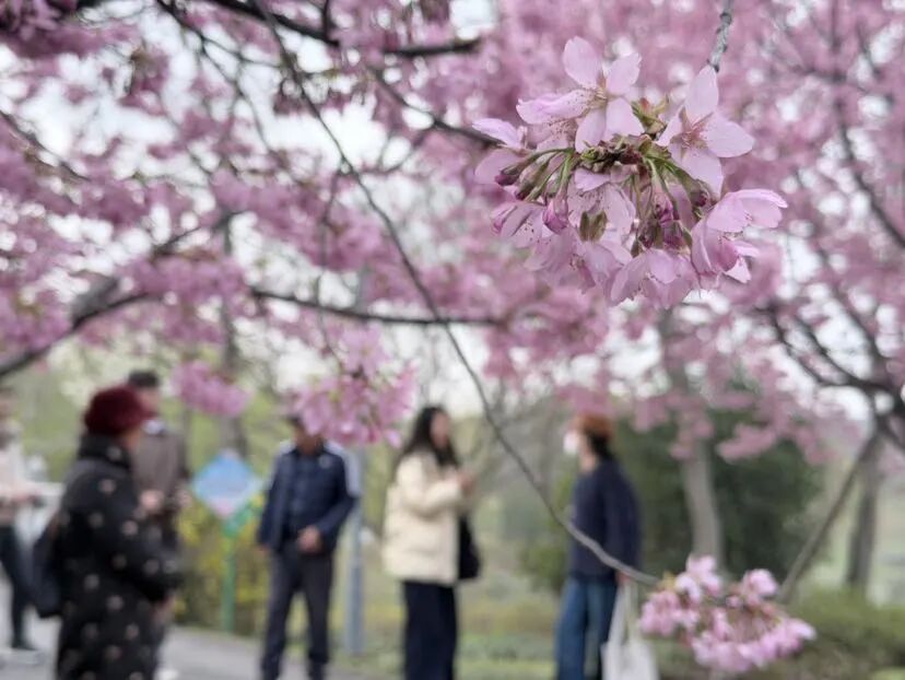 54_2026-03-19 02:57:36 +0000.png