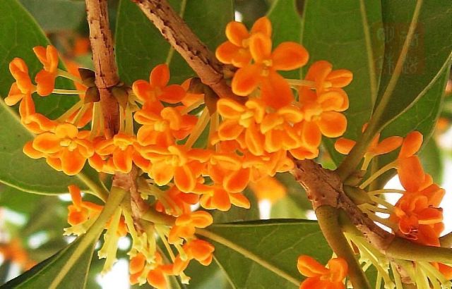 1021_130543_182.jpg 微信图片_20241021130356.jpg