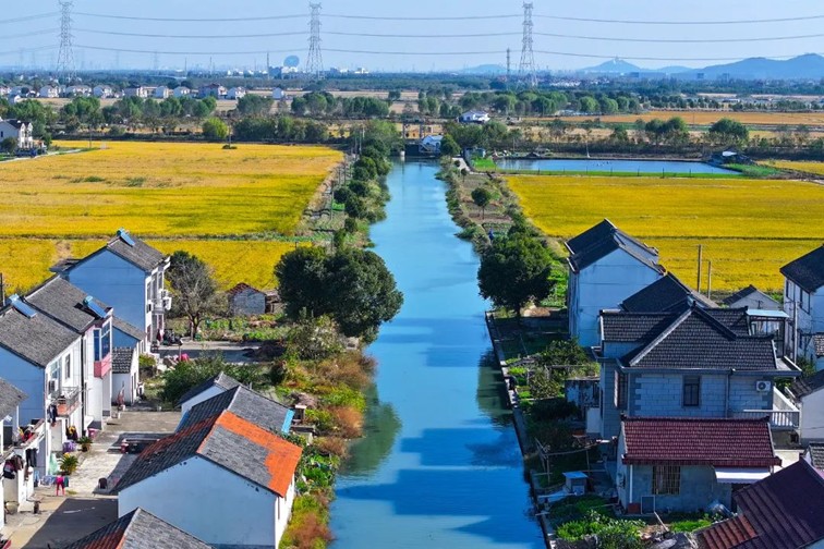 江南春景水一半，12处小流域绘青浦生态美域