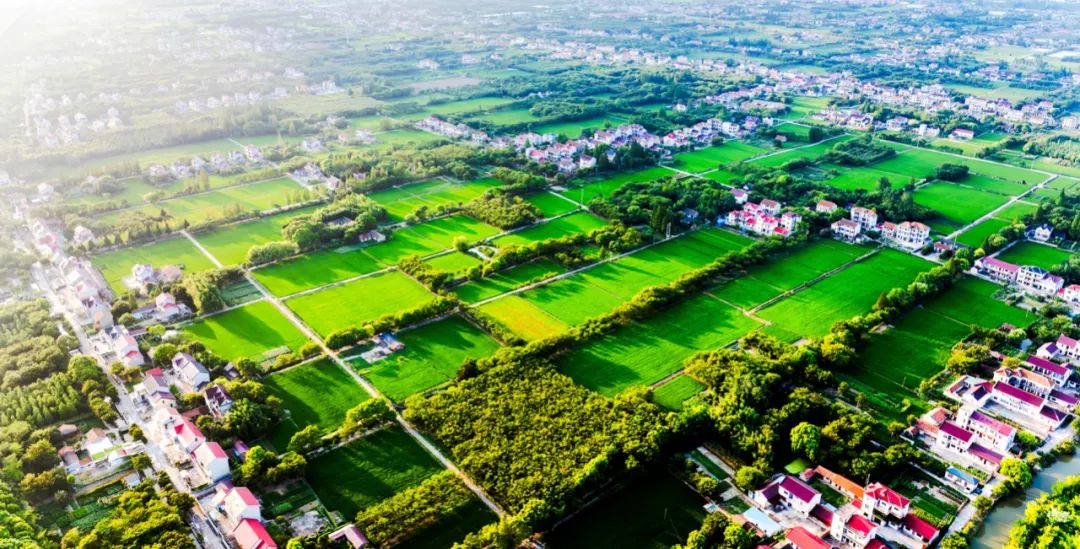 今天1653.png 今天1653.png