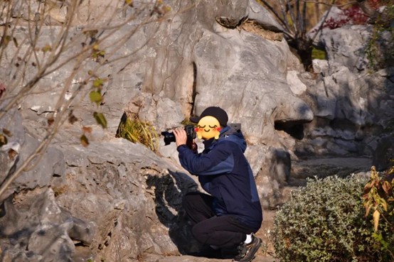 2026逛青浦环城水系公园指南