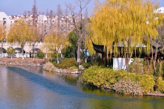 2026逛青浦环城水系公园指南