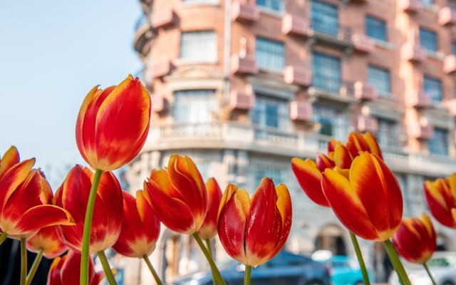 0220_132336_672.jpg 微信图片_2025-02-20_132416_682.png