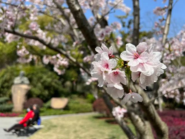 0307_144559_445.jpg 微信图片_2025-03-07_103649_672.jpg