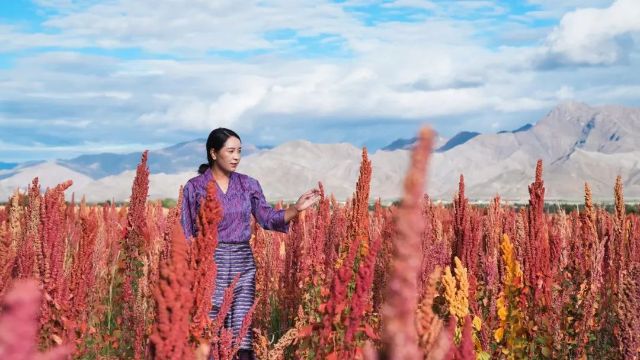 1012_134643_944.jpg 微信图片_20241012105809.jpg