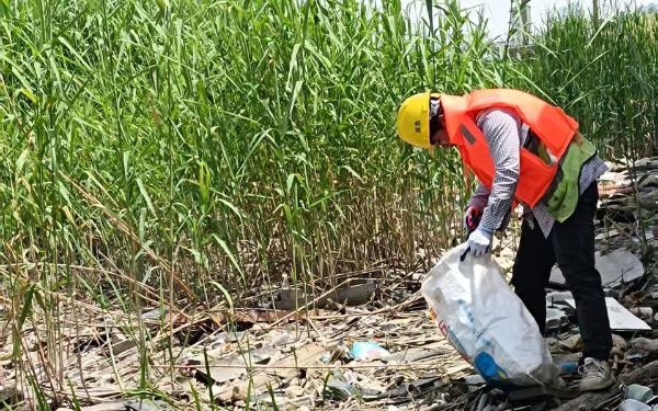 110 (2).jpg 110 (2).jpg