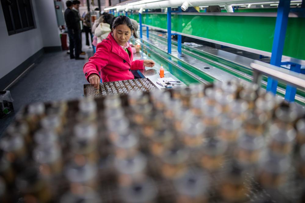 2025年1月23日，云南省曲靖市会泽县钟屏街道居民在家门口的沪滇协作产业园参加“新春试岗”活动。新华社记者江文耀 摄.jpg