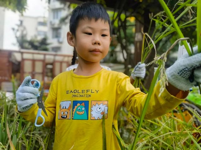 1022_140232_241.jpg 微信图片_20241022102133.jpg