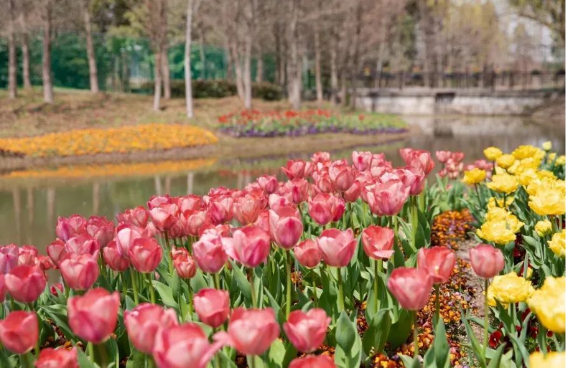 走367.png 走367.png