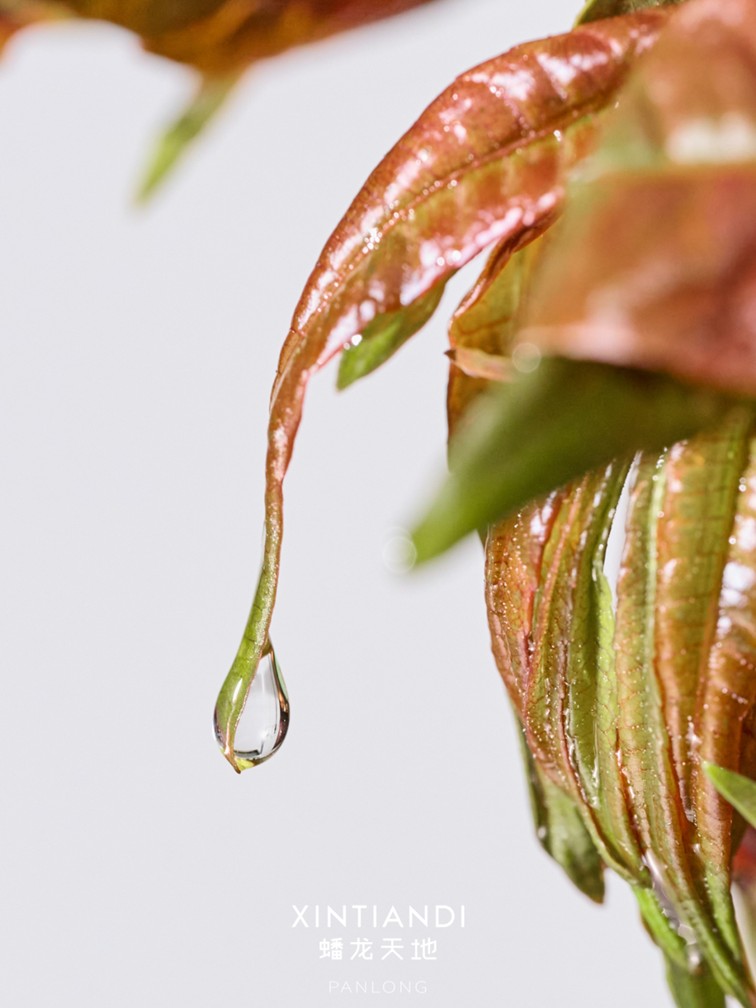 318青浦旅游日丨春日限定！青浦几大商场各出奇招，邀你和春光碰头！