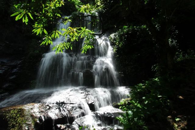 1008_145515_710.jpg 微信图片_20241008134606.jpg