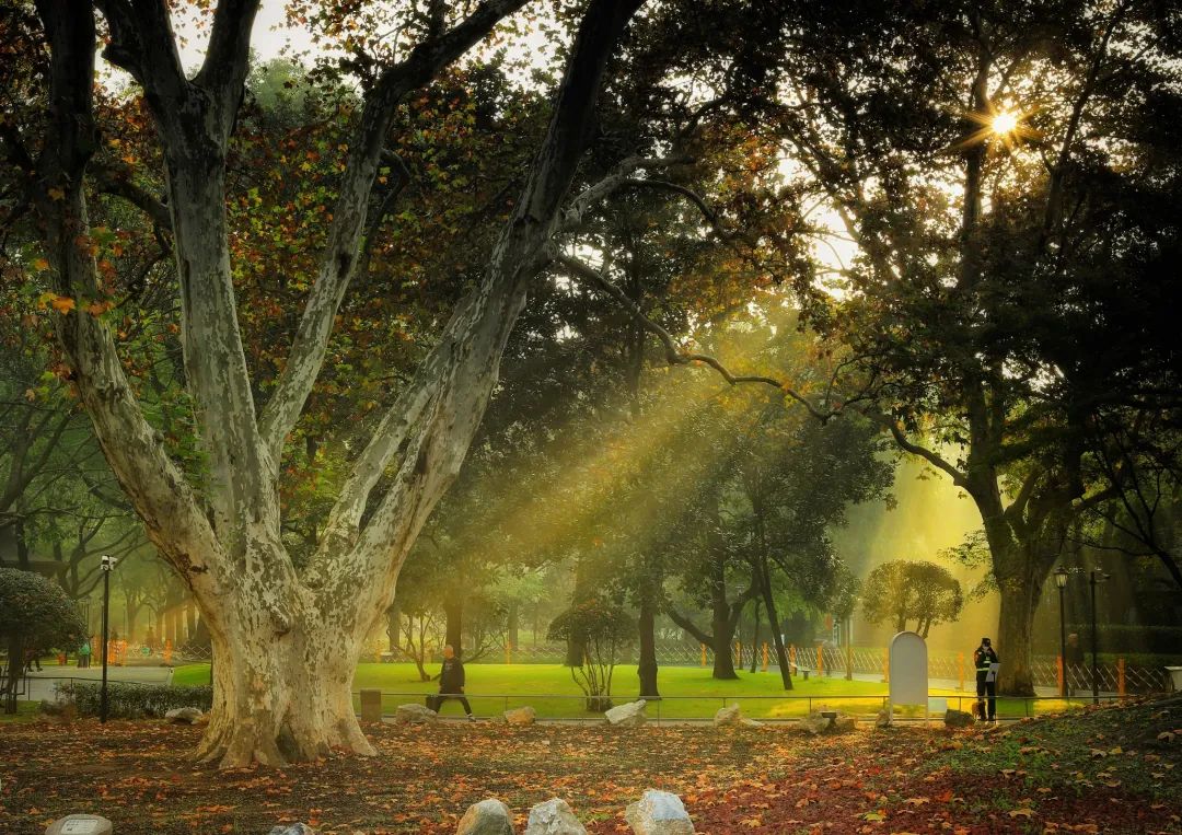 中山公园百年公园与华东政法大学百年校园融合开放.jpeg 中山公园百年公园与华东政法大学百年校园融合开放.jpeg