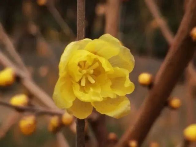 0120_141430_732.jpg 微信图片_2025-01-20_141250_339.png