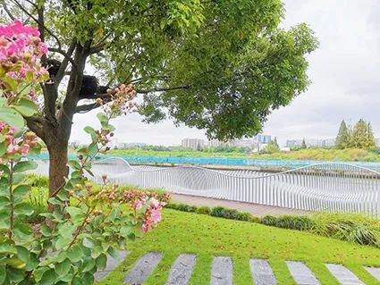 图片15.png 图片15.png