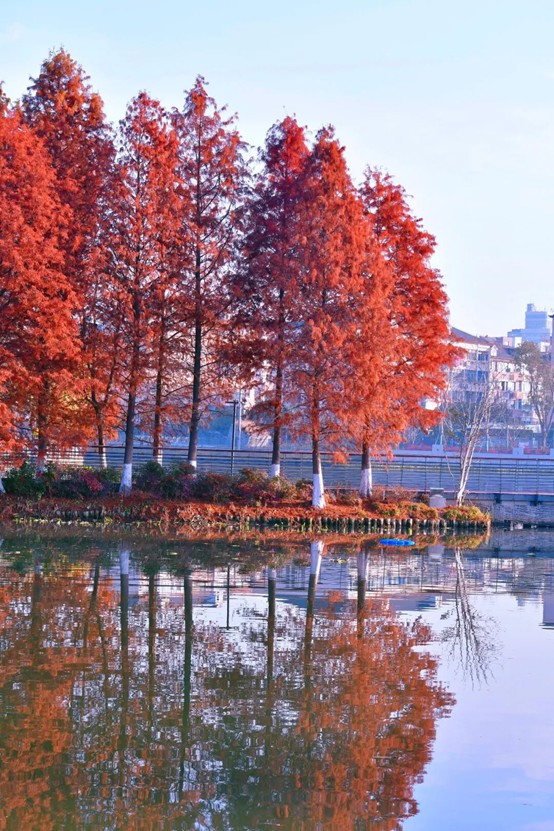 2026逛青浦环城水系公园指南