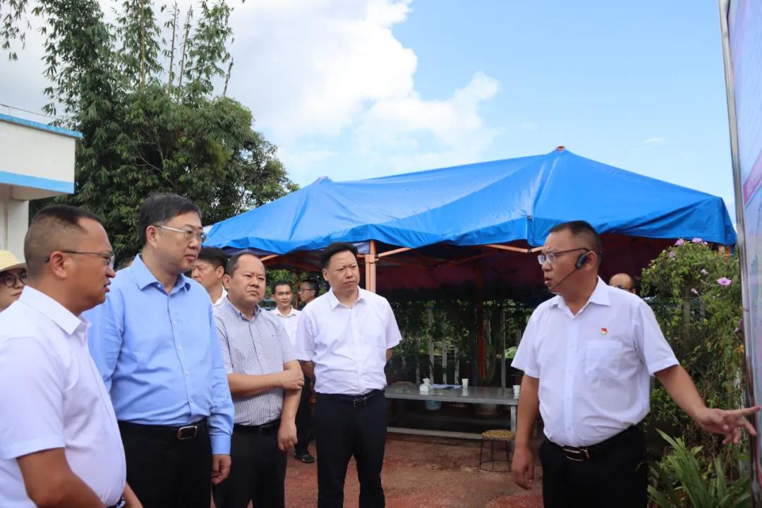 20241012135549001120.jpg 20241012135549001120.jpg