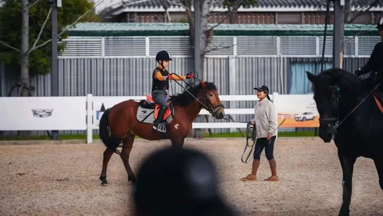 嗨翻新春！快来加入青浦这场异彩纷呈的“美育”大派对！