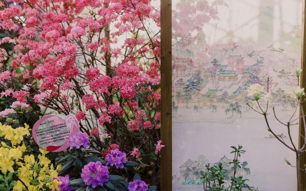 花影穿屏 (3).jpg 花影穿屏 (3).jpg