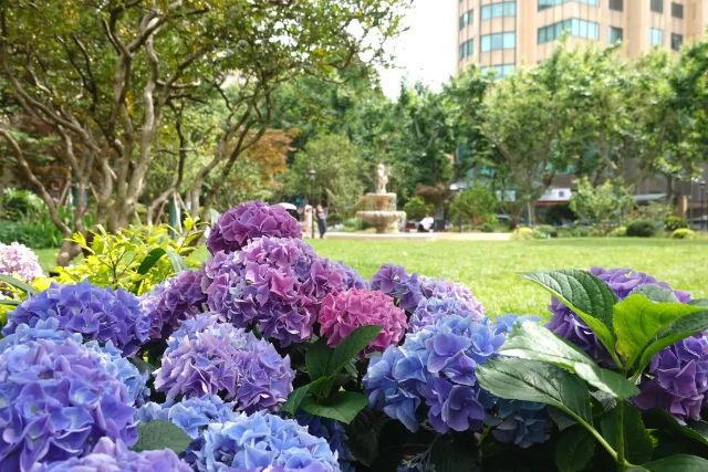 0812_141438_602.jpg 640 (4).jpg