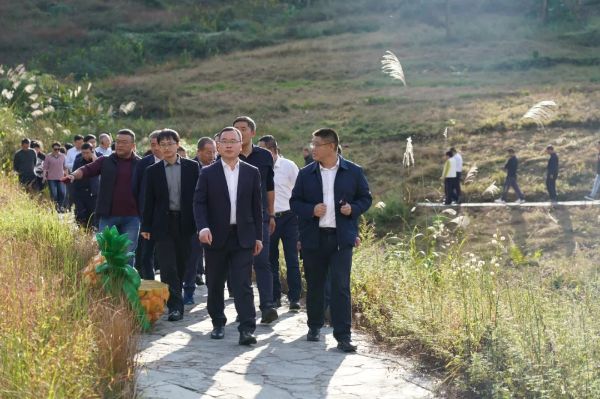 1031_134616303_265.jpg 20241031_134447_000.jpg