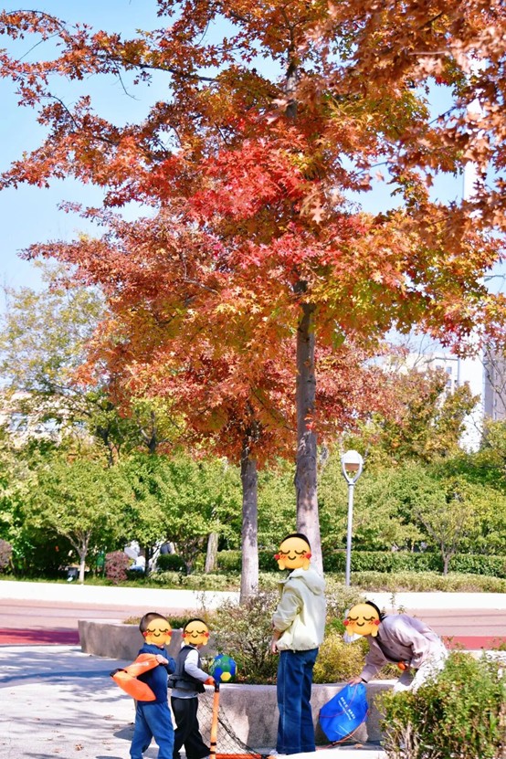 2026逛青浦环城水系公园指南